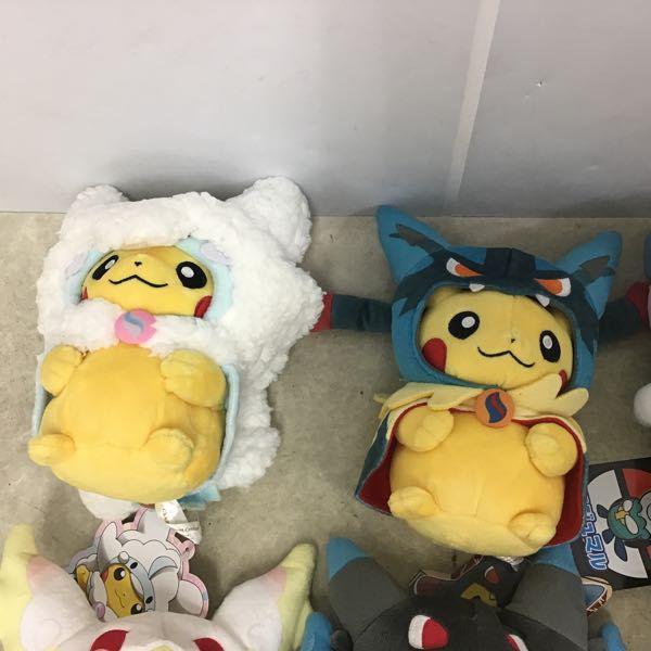 メガヤミラミのポンチョを着たピカチュウ ２個 Amazon.co.jp: ポケモンセンターオリジナル マスコット