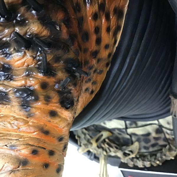 店頭受取限定 箱無/破損 サイドショウ 1/1 プレデター JAPANESE