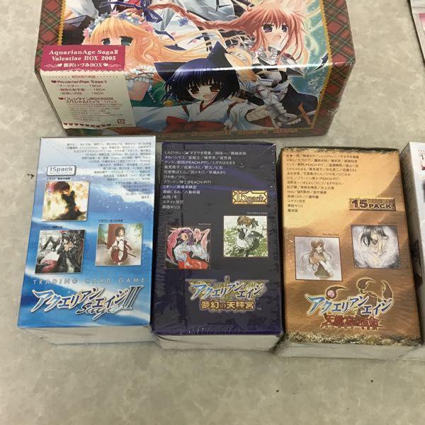 訳あり アクエリアンエイジ Saga II バレンタインBOX 2005 桜沢いづみ