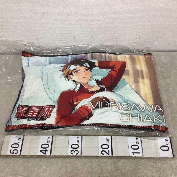 未開封 あんさんぶるスターズ! 守沢千秋 ビッグクッション、ビジュアル