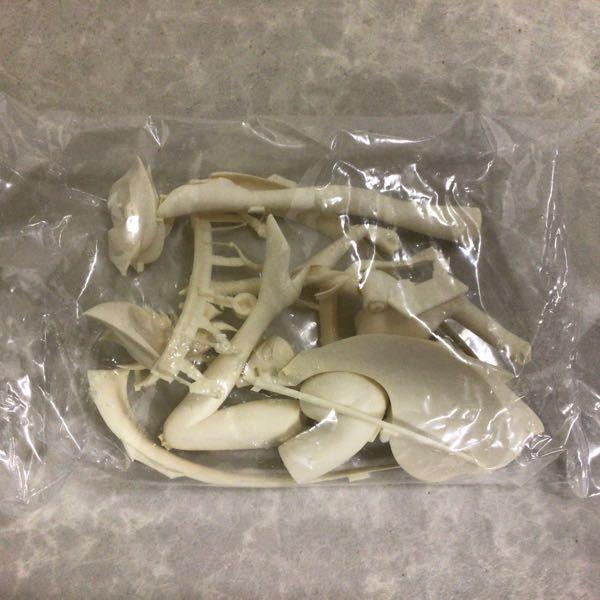 B-CLUB 1/8 キューティーハニーF ハイパーハニー / レジンキャスト