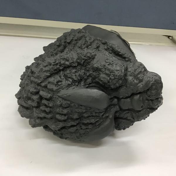 箱無 M1号 ゴジラヘッドシリーズNo.3 モスゴジヘッド 販売・買取