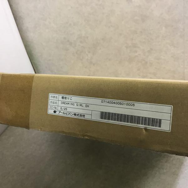 同梱不可□ アールビバン 版画 梱枝りこ DREAMING GIRL DX ミクスド
