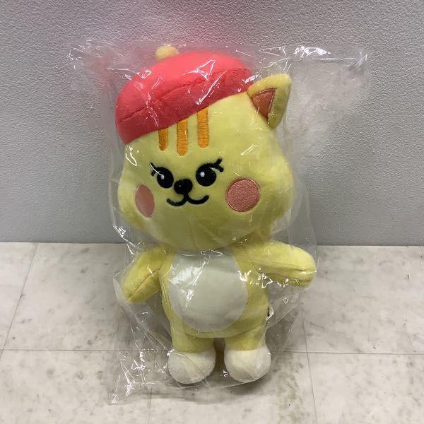 未開封含 NiziU OFFICIAL CHARACTER NIZOO OFFICIAL MD ポーチ