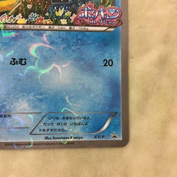 ポケカ ポケモンカード ポケキュンコレクション XY-P プロモ