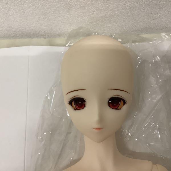 ボークス ドルフィードリーム DD ロストエンジェルス マーヤ 販売・買取