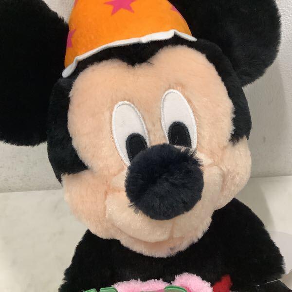 東京ディズニーリゾート HappyBirthday ミッキー＆ミニー! 2019