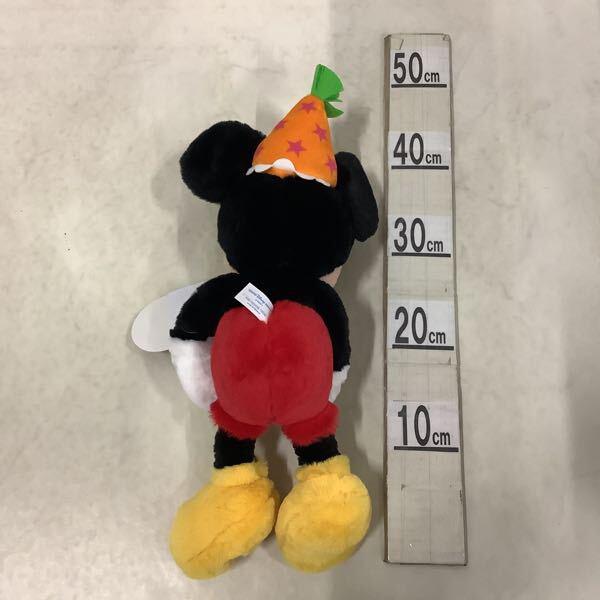 東京ディズニーリゾート HappyBirthday ミッキー＆ミニー! 2019