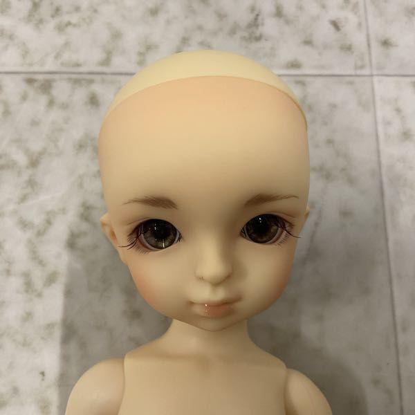 ボークス スーパードルフィー 幼SD 男の子 パフ 販売・買取