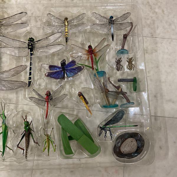 ユージン 原色図鑑シリーズ 原色日本昆虫図鑑 I・II 販売・買取