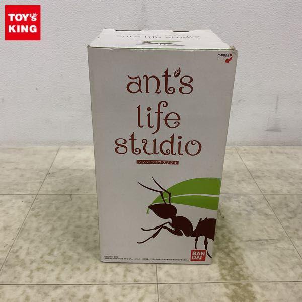 ant's life studio アンツ　ライフ　スタジオ　希少品 ☆ ant's life studio アンツライフスタジオ バンダイ BANDAI