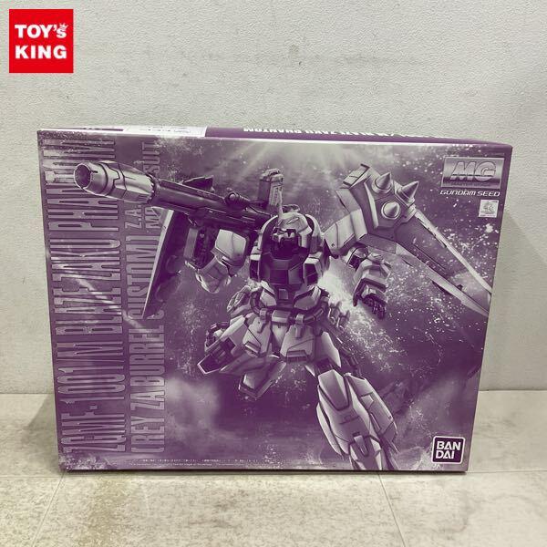 1円〜 MG 1/100 機動戦士ガンダムSEED DESTINY ブレイズザクファントム レイ・ザ・バレル専用機