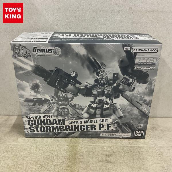 1円〜 MG 1/100 ガンダムビルドダイバーズ ジニアスヘッドライン ガンダムストームブリンガーP.F.