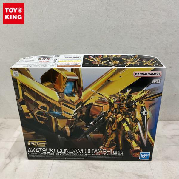 1円〜 RG 1/144 機動戦士ガンダムSEED DESTINY アカツキガンダム オオワシ装備