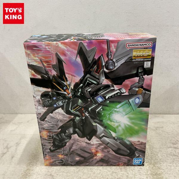 1円〜 MG 1/100 機動戦士ガンダムSEED C.E.73 STARGAZER ストライクノワールガンダム