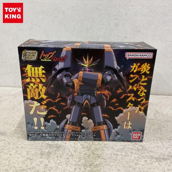 1円〜 SMP トップをねらえ! 炎となった無敵のガンバスターオプションパーツセット